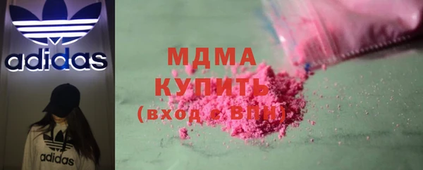 индика Алексин