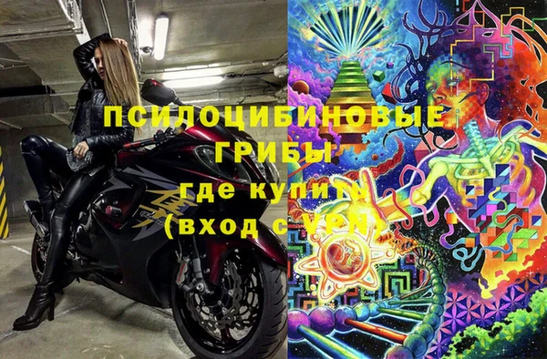 индика Алексин
