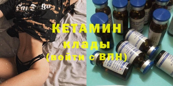 индика Алексин