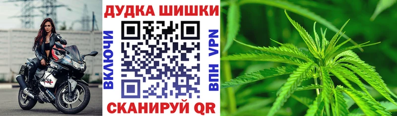 Каннабис сатива Новозыбков